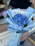 Hydrangea - 1