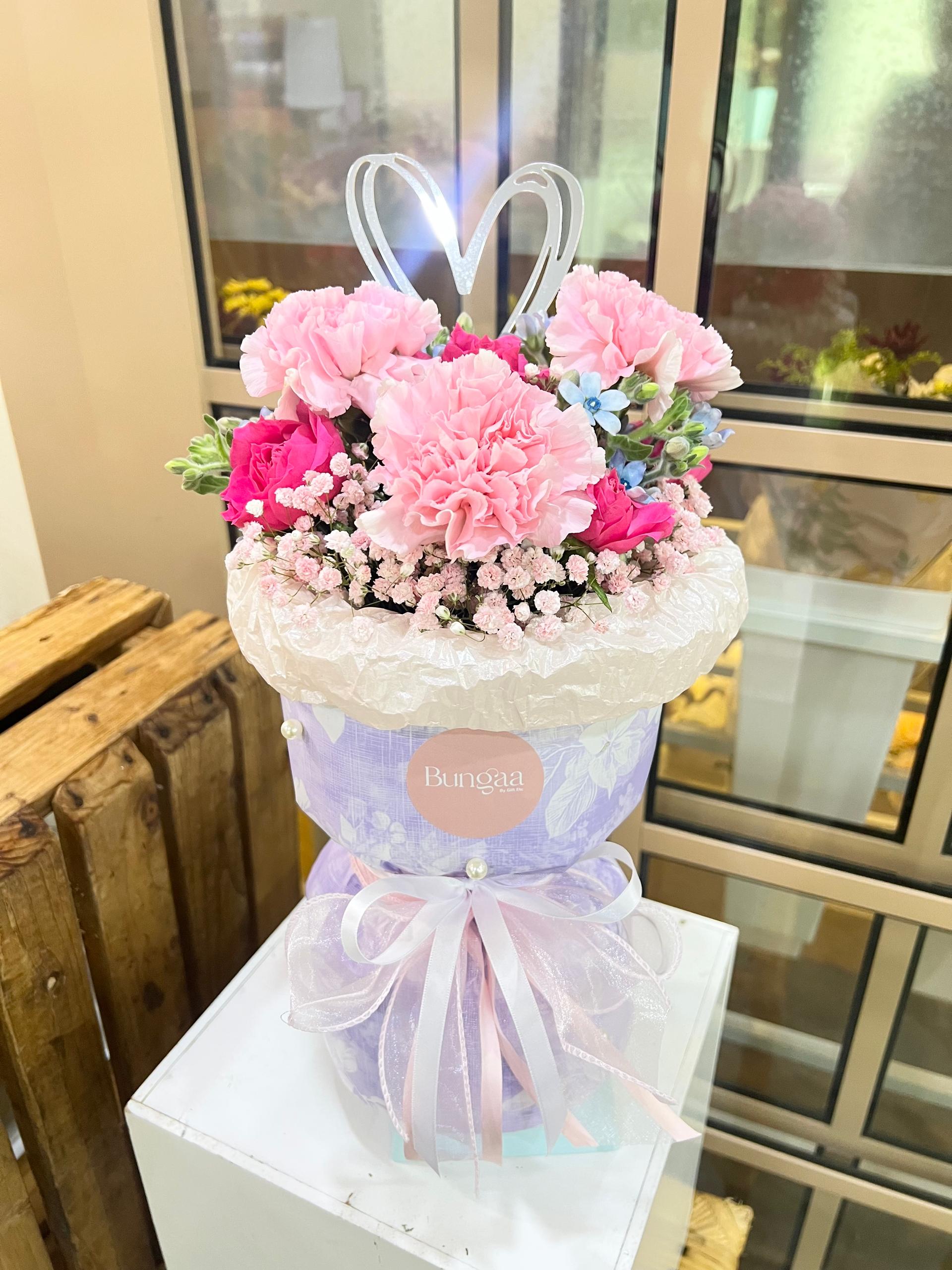 Carnation - 1
