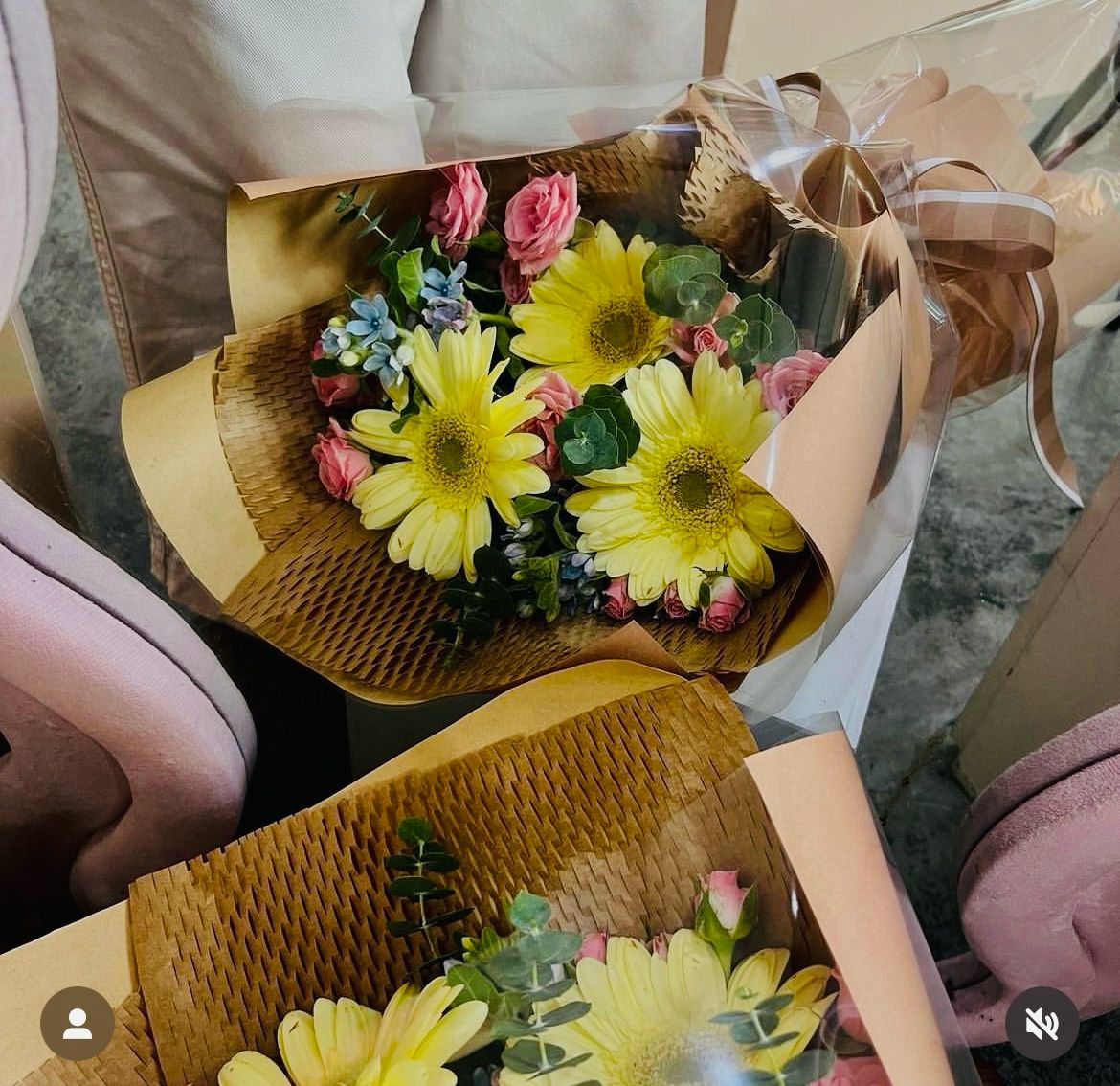 Daisy - 7